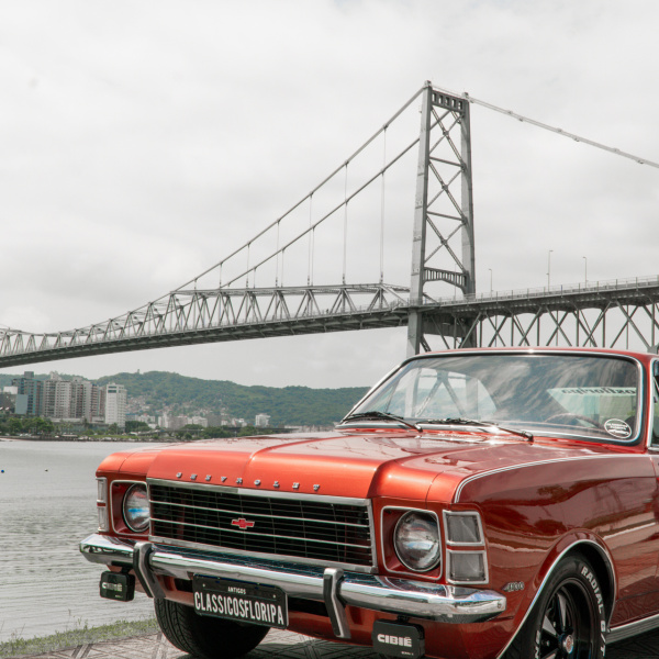 Opala 6 cil de plaqueta POR 0,29 CENTAVOS NA PROMOÇÃO